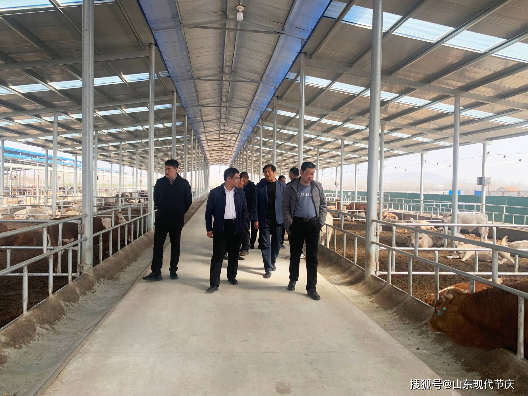 记淄博市周村区王村镇王洞村党支部书记王玉春