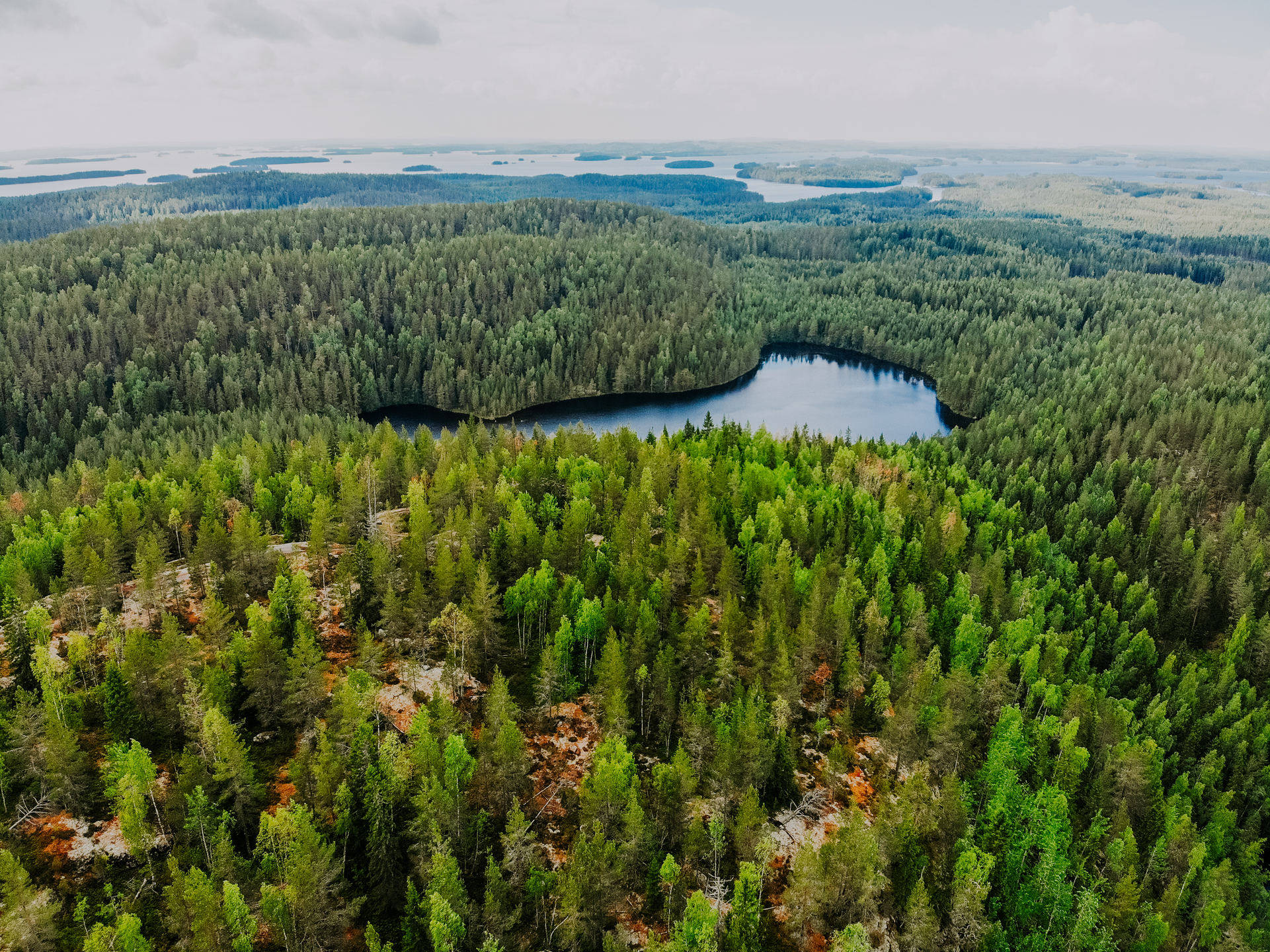 北欧拉普兰:欧洲大陆最后的荒野秘境
