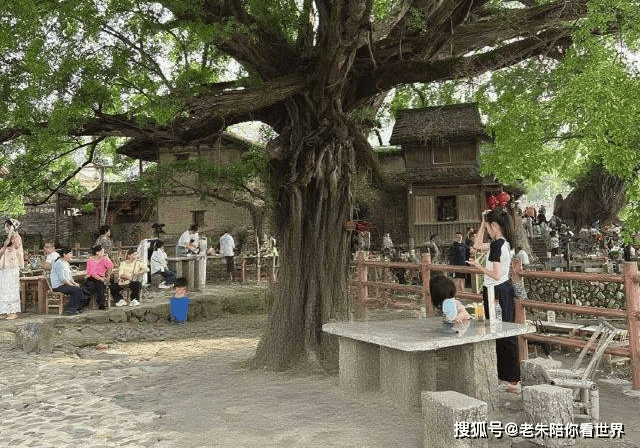《浣溪沙·云水谣游吟》庄灿煌