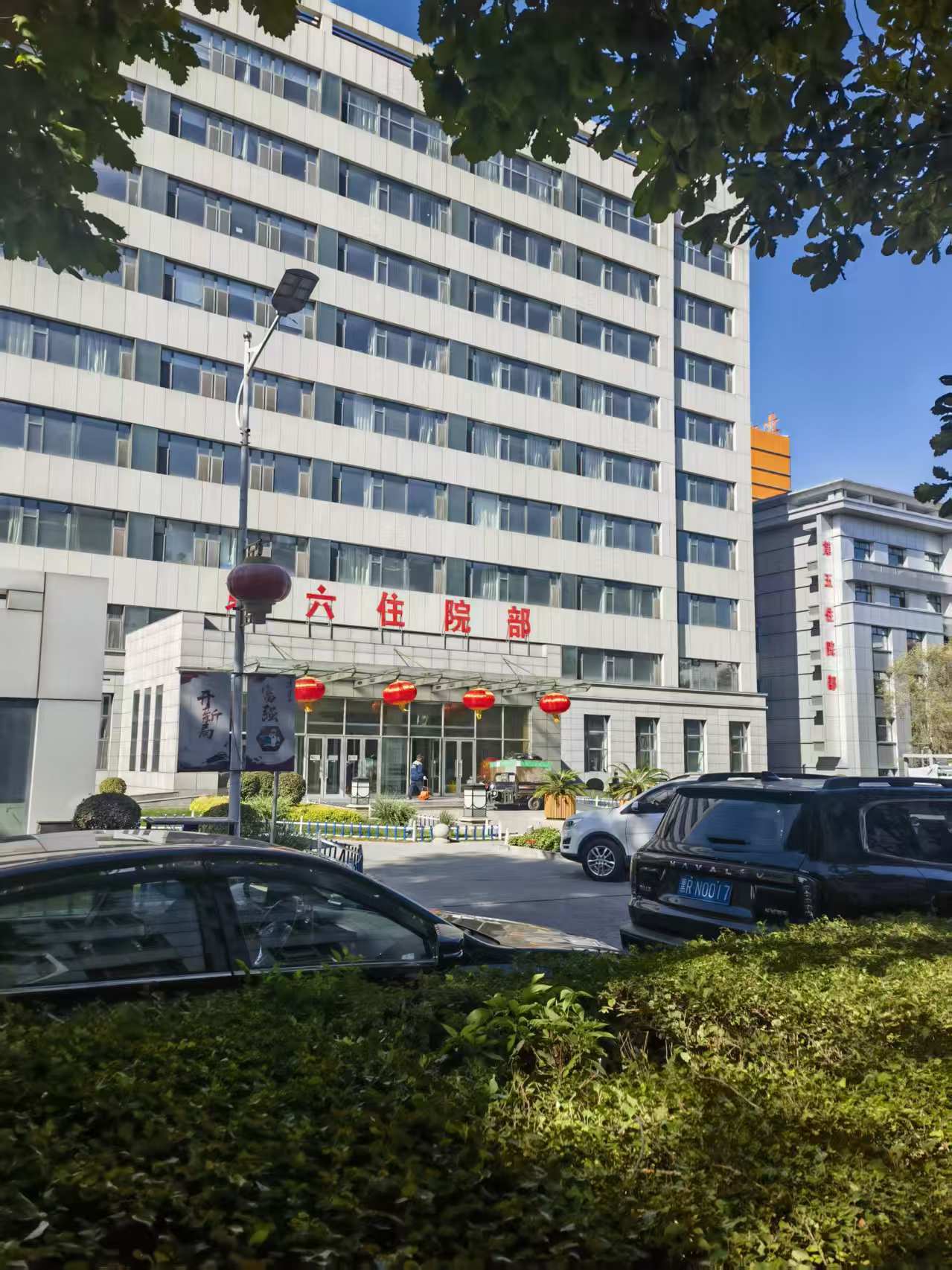 包含中国医学科学院整形外科医院住院办理陪诊挂号康复训练专业指导，恢复效果更佳的词条