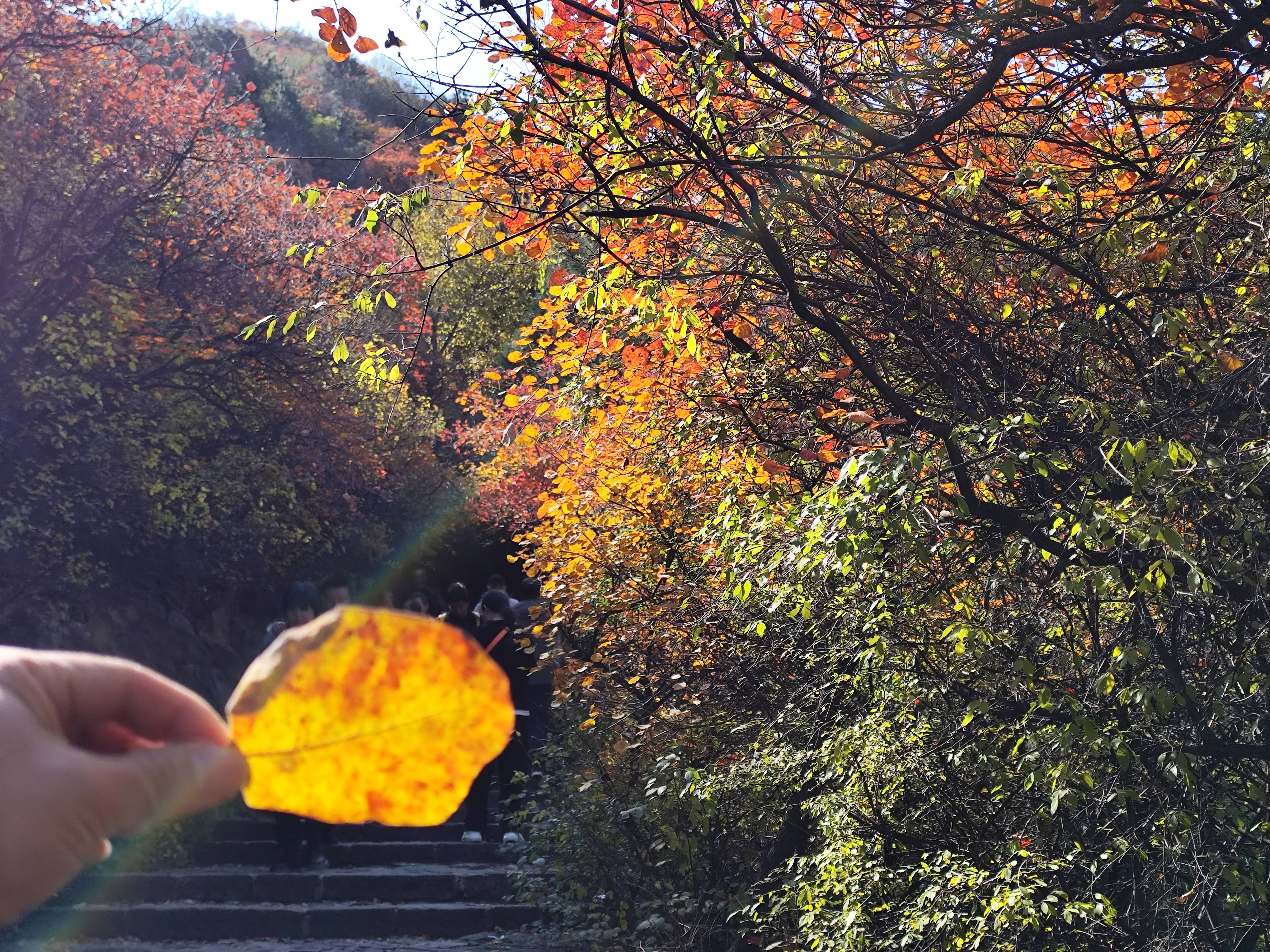 天气预报太原今日情况
