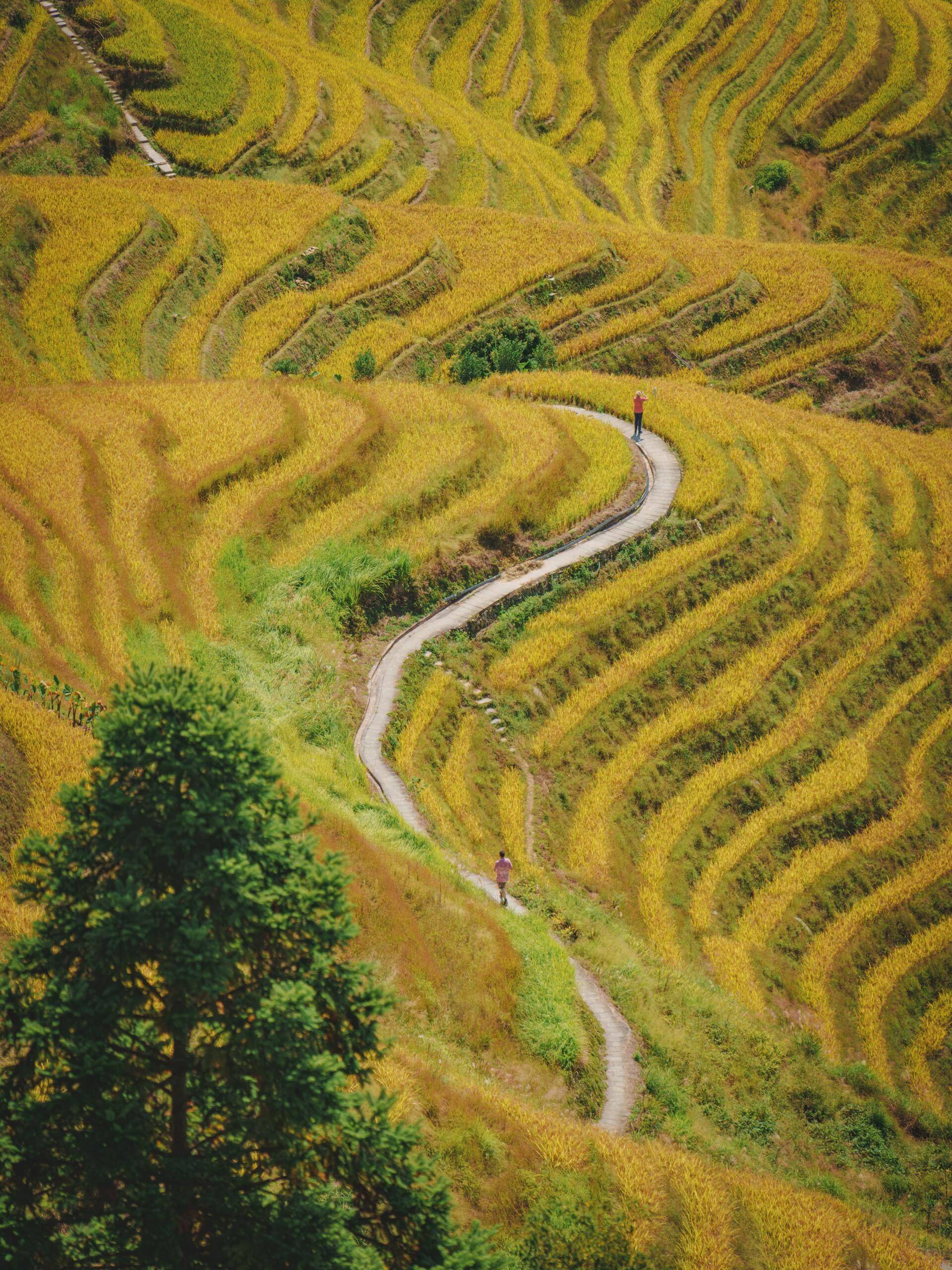 桂林天气预报30预报