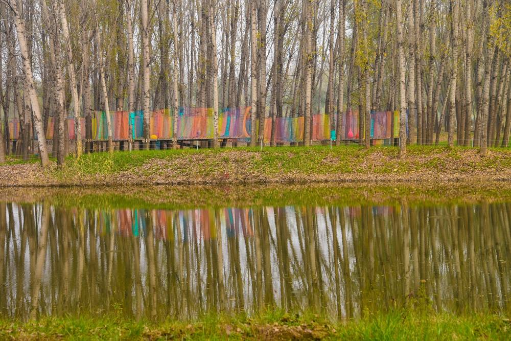 镜头中的弥水生态乐园