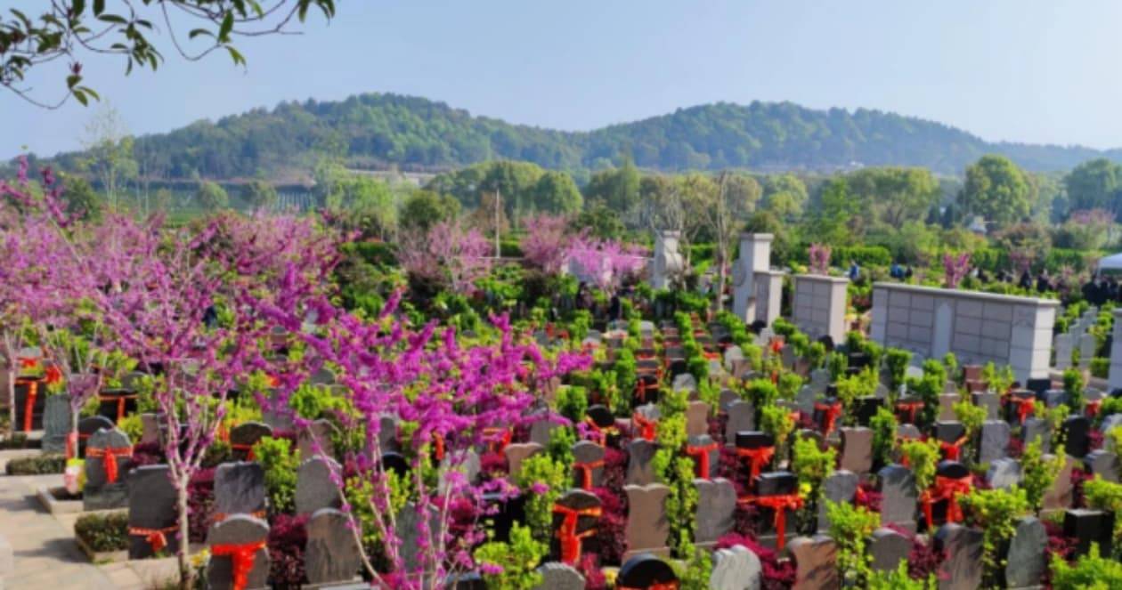 龙泉山孝恩园公墓陵园墓地位置在哪里以及大概多少钱