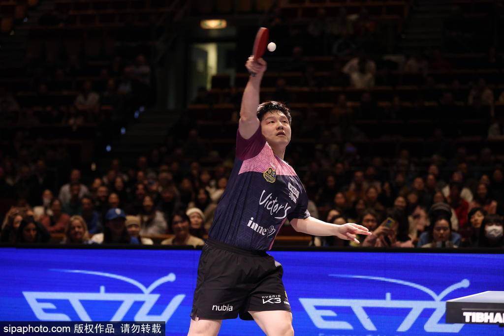 15分钟速胜！樊振东欧冠首秀零封对手 赛后模仿C罗庆祝