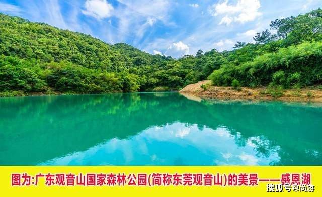 广东观音山国家森林公园生态监管亟待加强