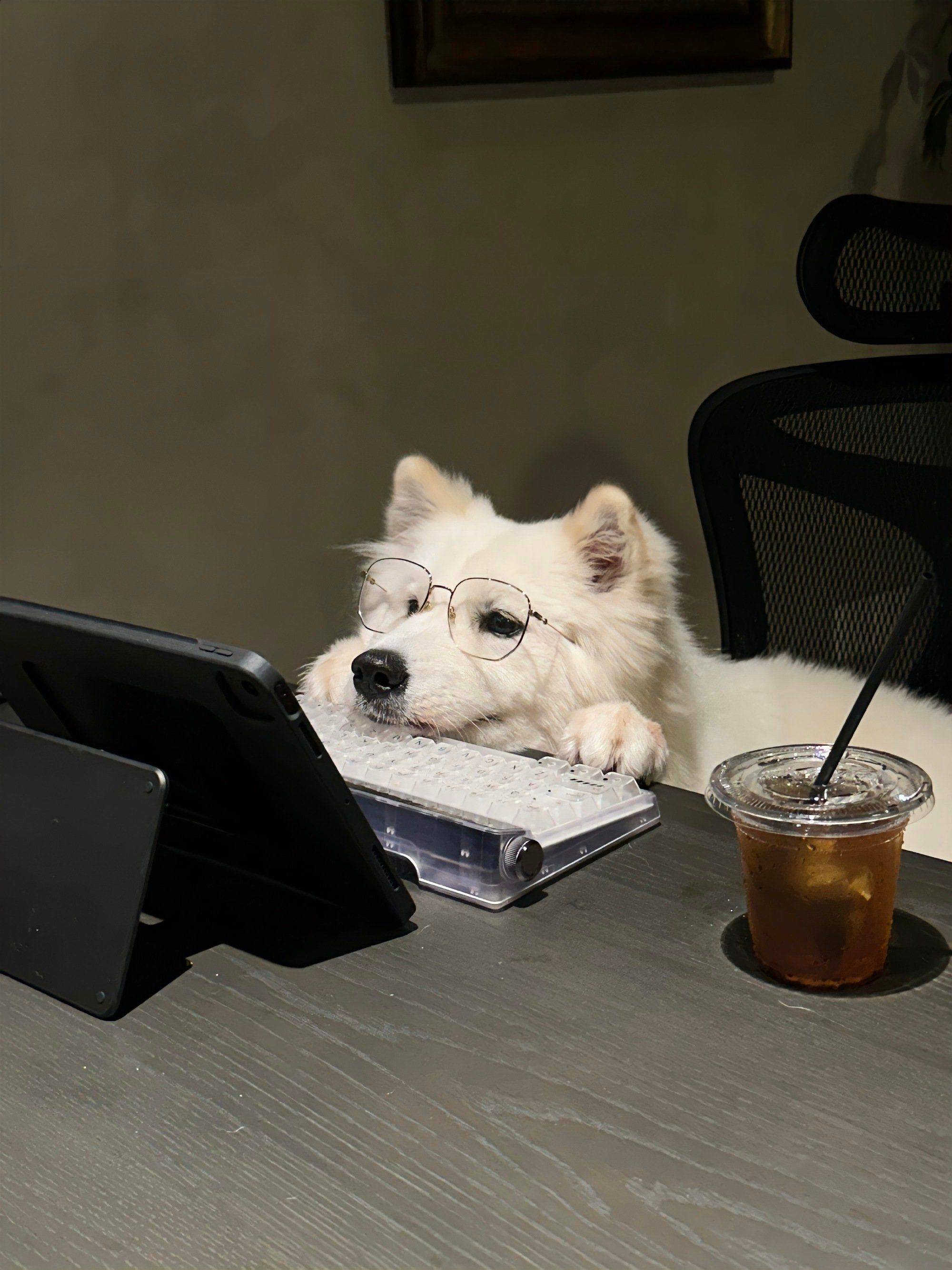 图片[3]-为什么有那么多人移民新西兰？ -华闻时空