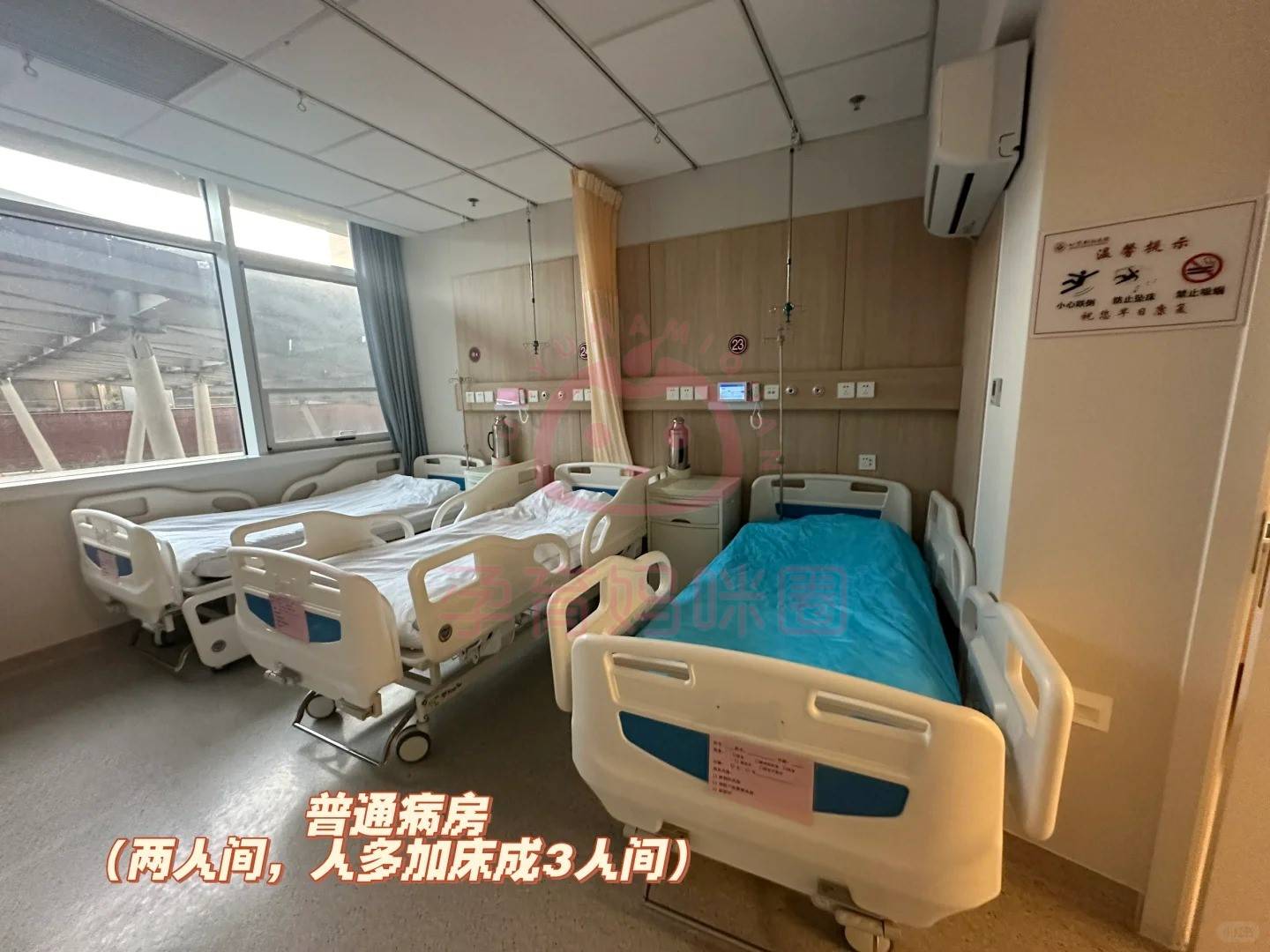 包含朝阳医院检查陪护加挂号复杂病情梳理，明确治疗方向的词条