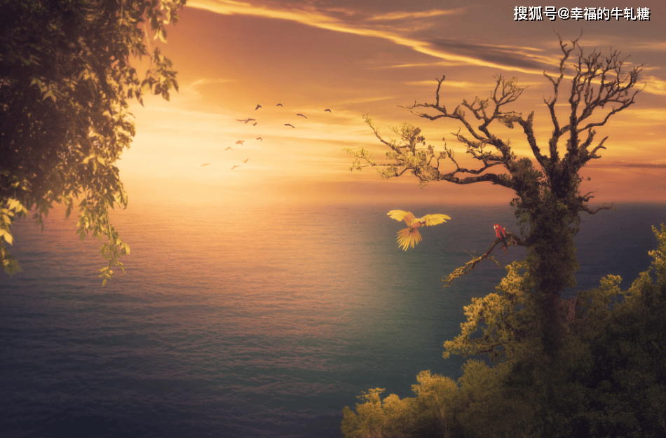 微信图片_20260208114708_32_57.png