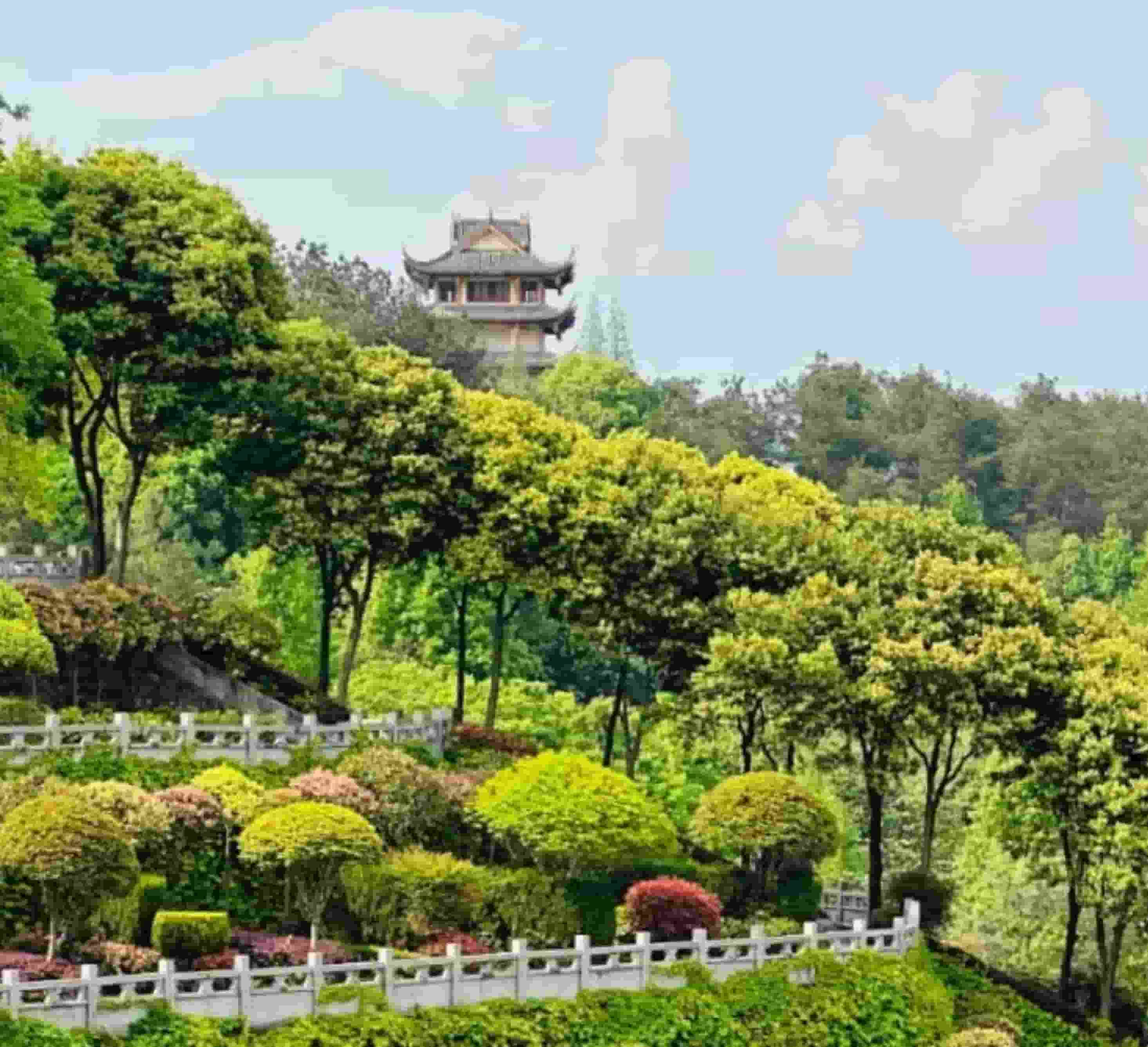 红枫艺术陵园公墓价格详细报价一览