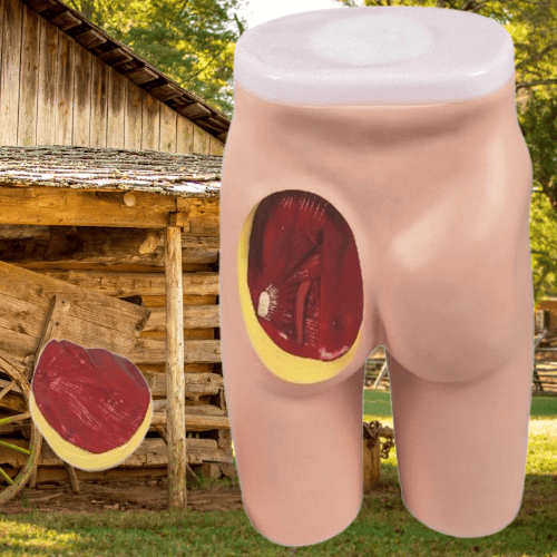 7fff80a-removebg-preview (4).png