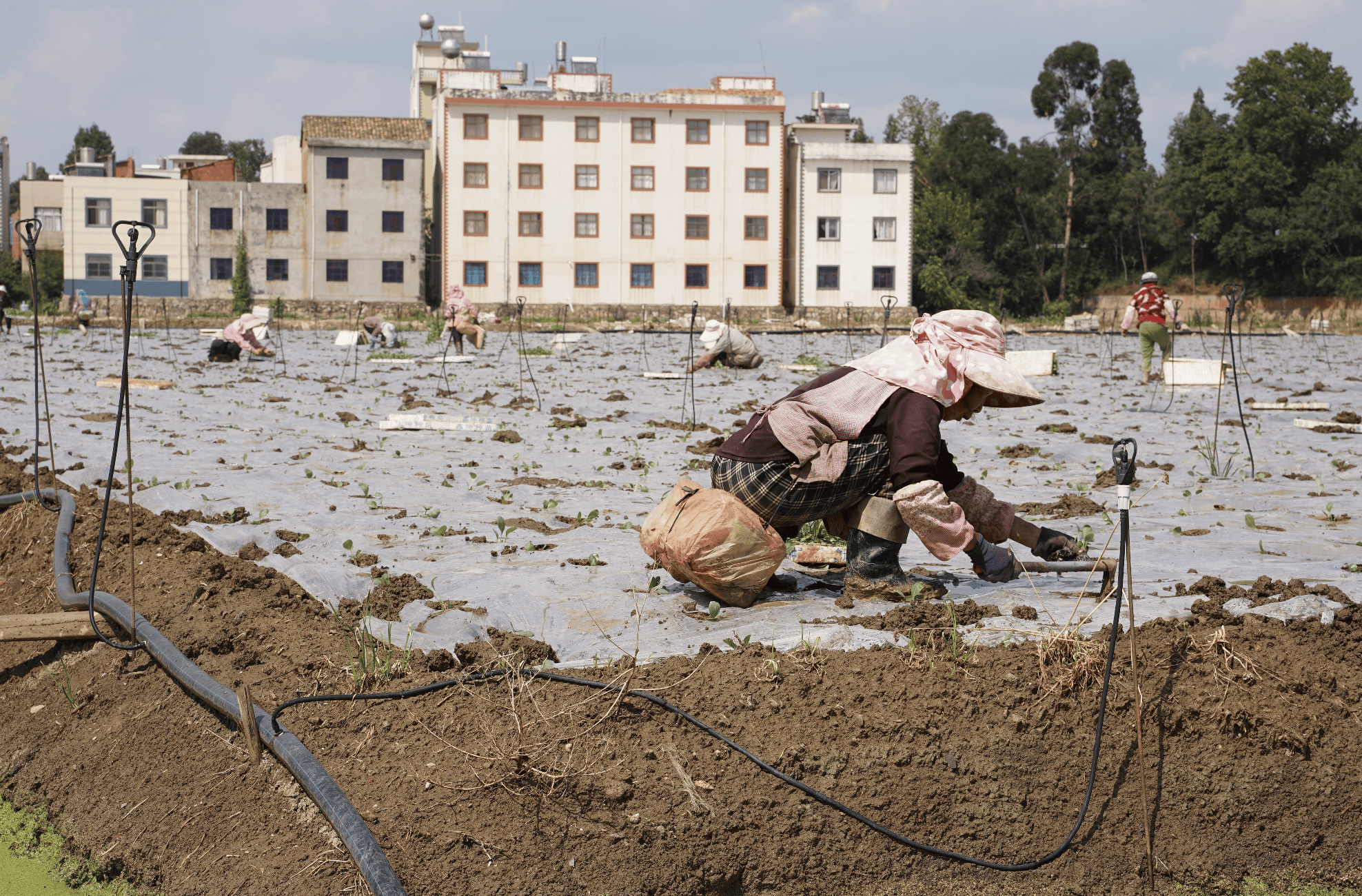 截屏2026-03-19 17.43.42.png