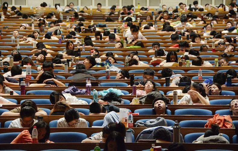 失去张雪峰,考研流量将飘向何处?-锋巢网