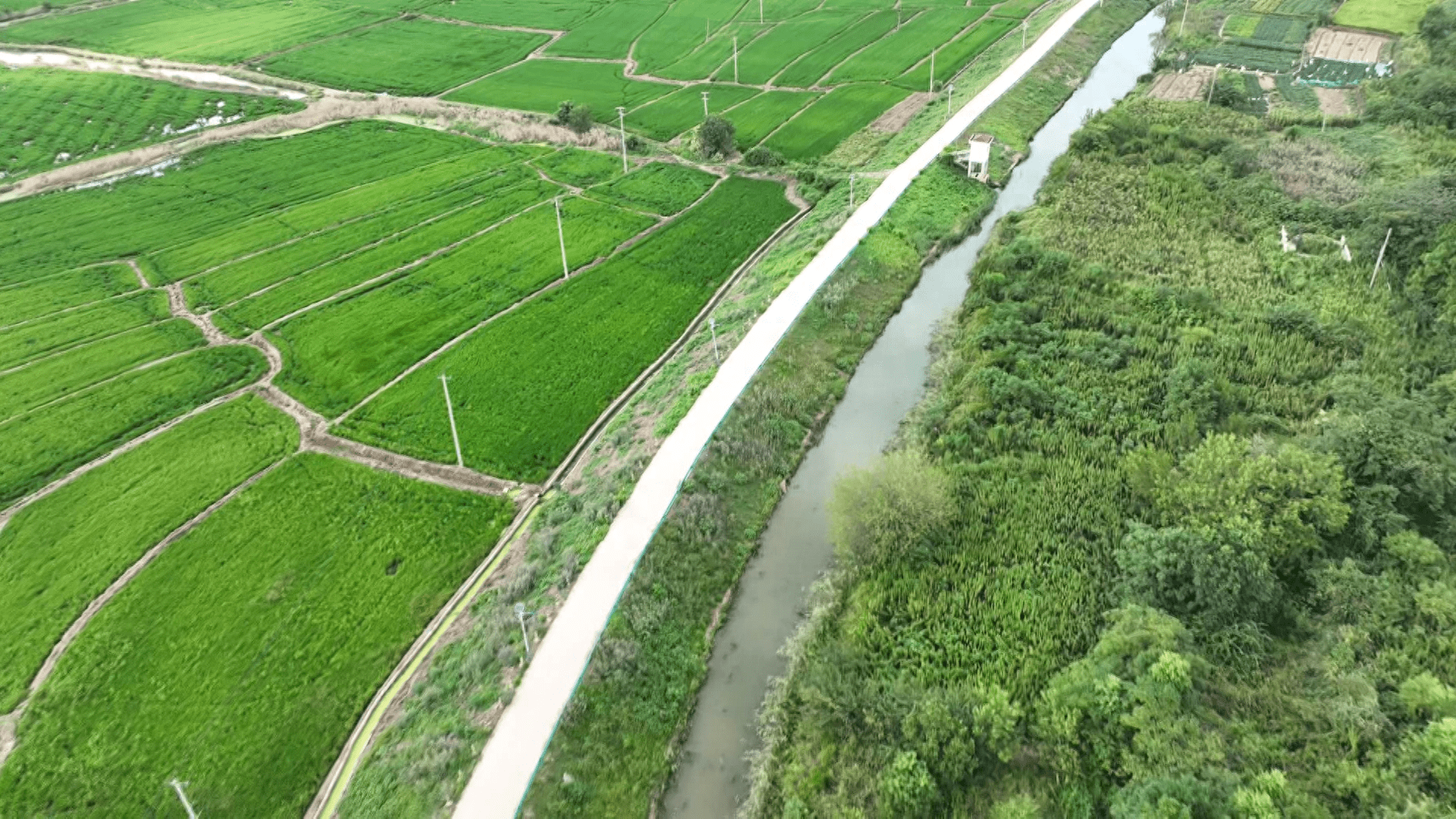 09b4cd32b2b4719d8605c56a4d469779 (1).png