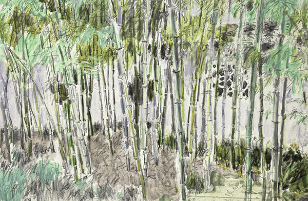 WechatIMG4286 拷贝.png