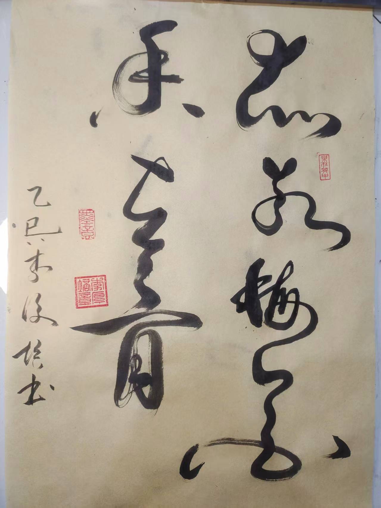 作品赏析风格与意境整体风格豪放洒脱既有草书的狂放之美又不失