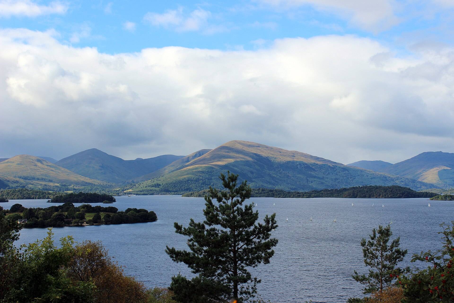 Loch_Lomond_2013_2.JPG