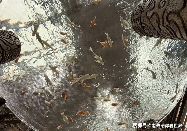 0EQ0y12000s69z1k34078_W_640_10000.jpg