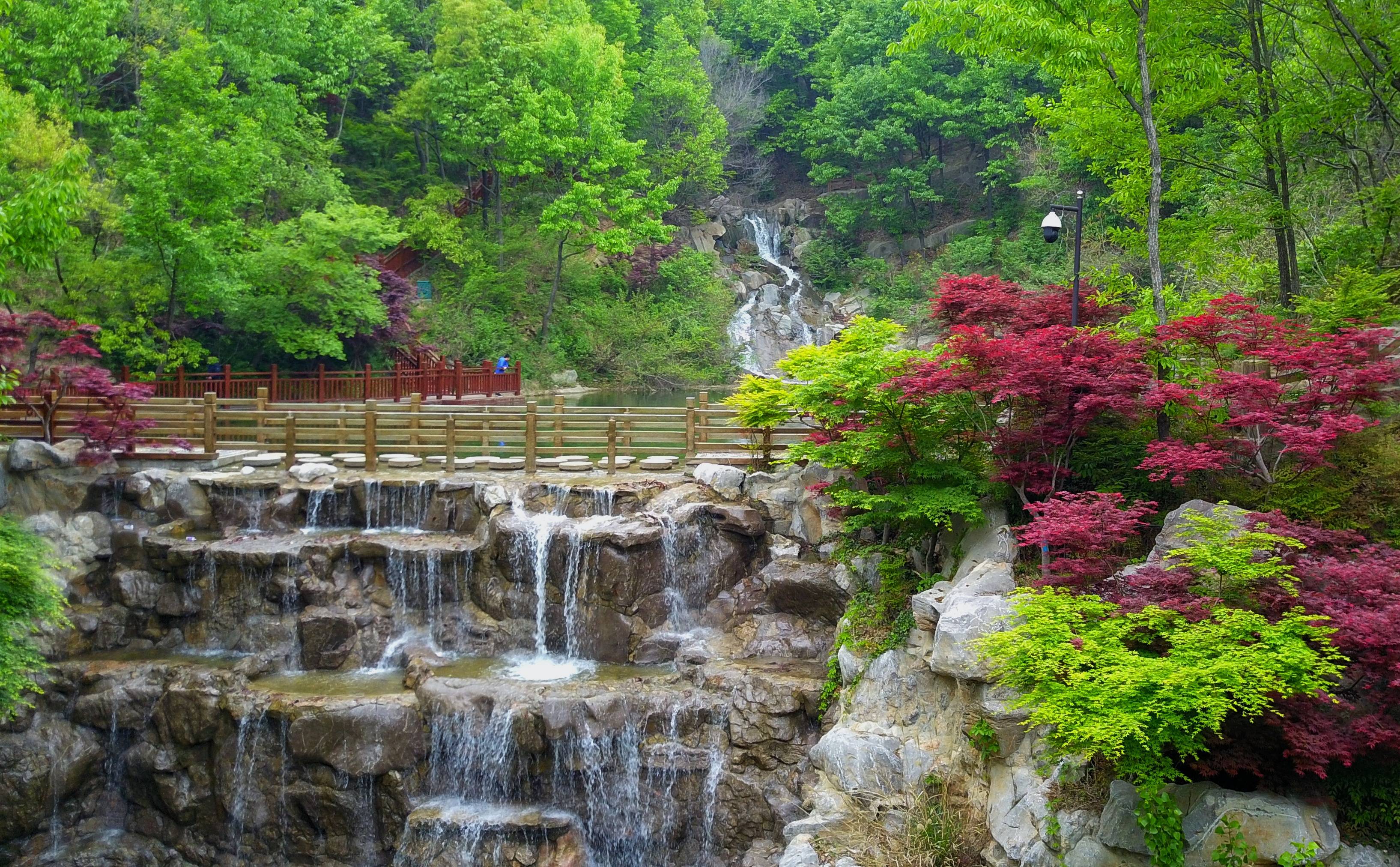 涧水红叶2.jpg