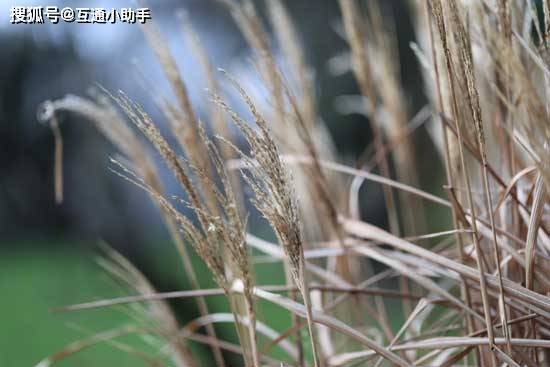 bokeh_05.jpg