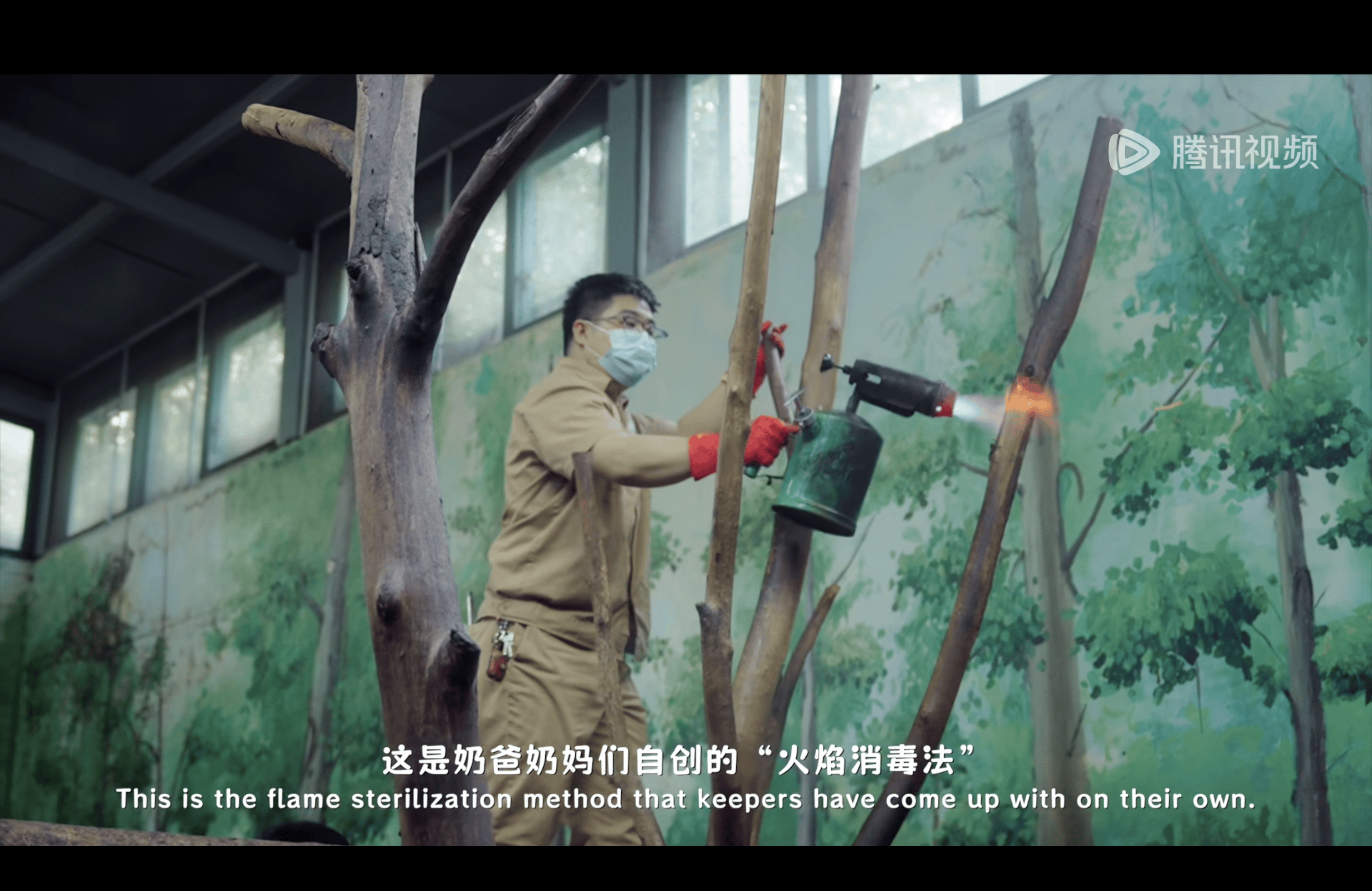 图片14.png