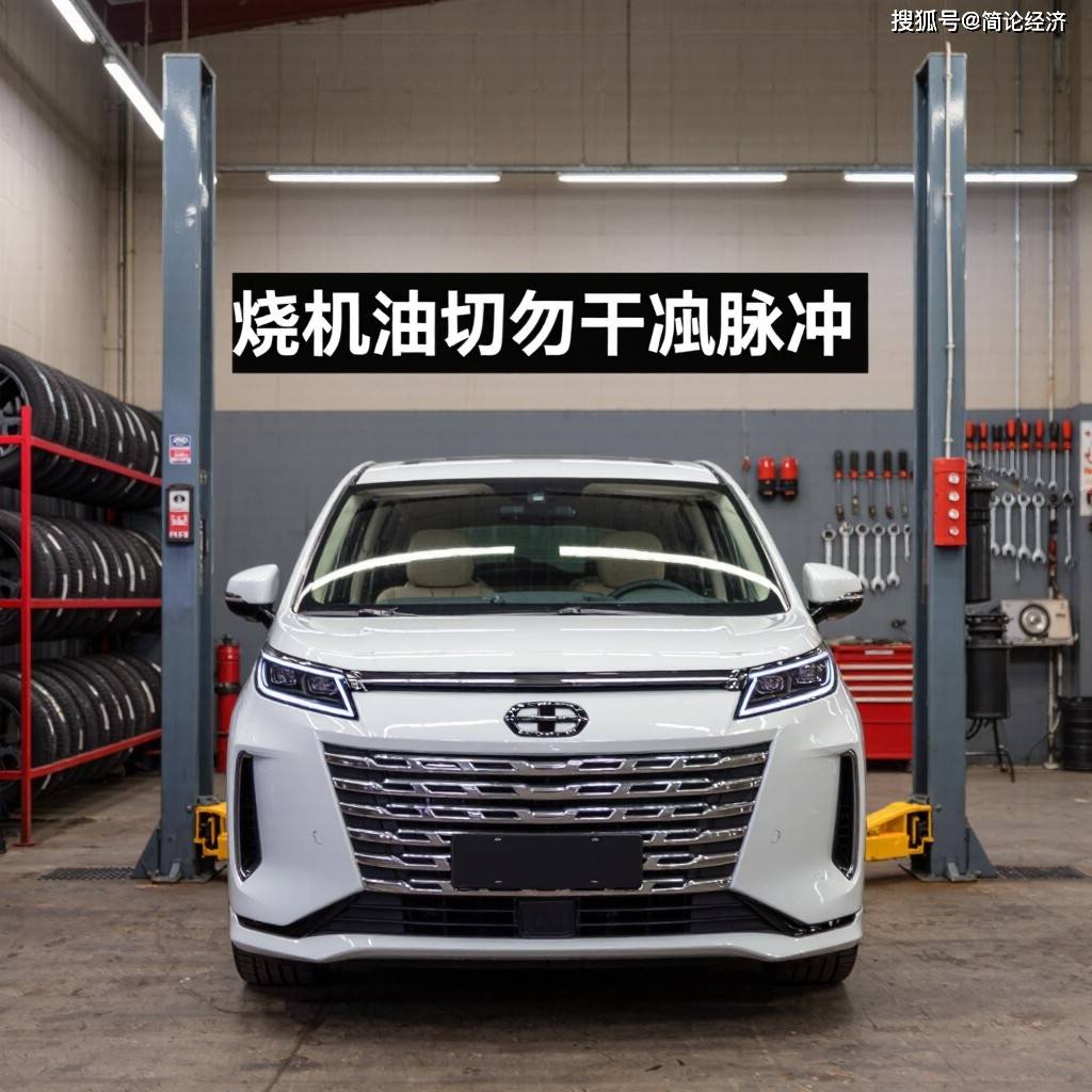 kling_20261022_文生图_一辆传祺M6停放在维_3635_0.jpg