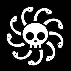 海贼团白胡子海贼团四皇布鲁克弗兰奇罗宾乔巴山治乌索普娜美索隆路飞