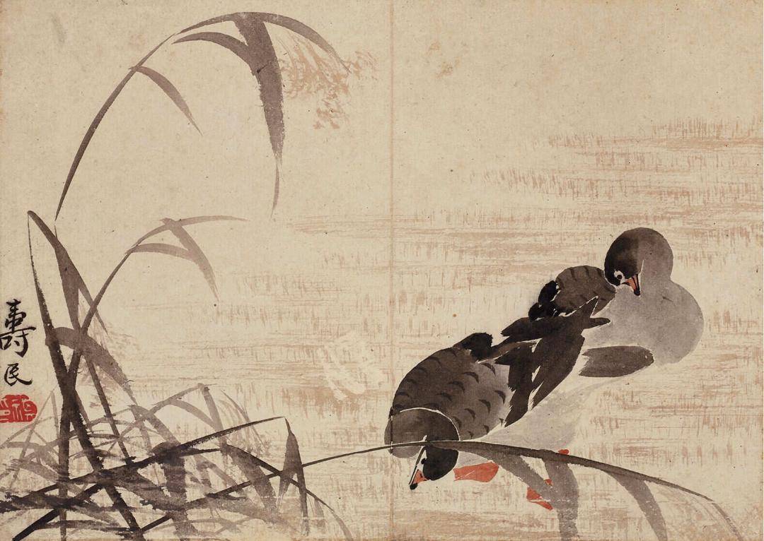 边寿民：自度前身是鸿雁，悲秋又爱绘秋声_芦雁