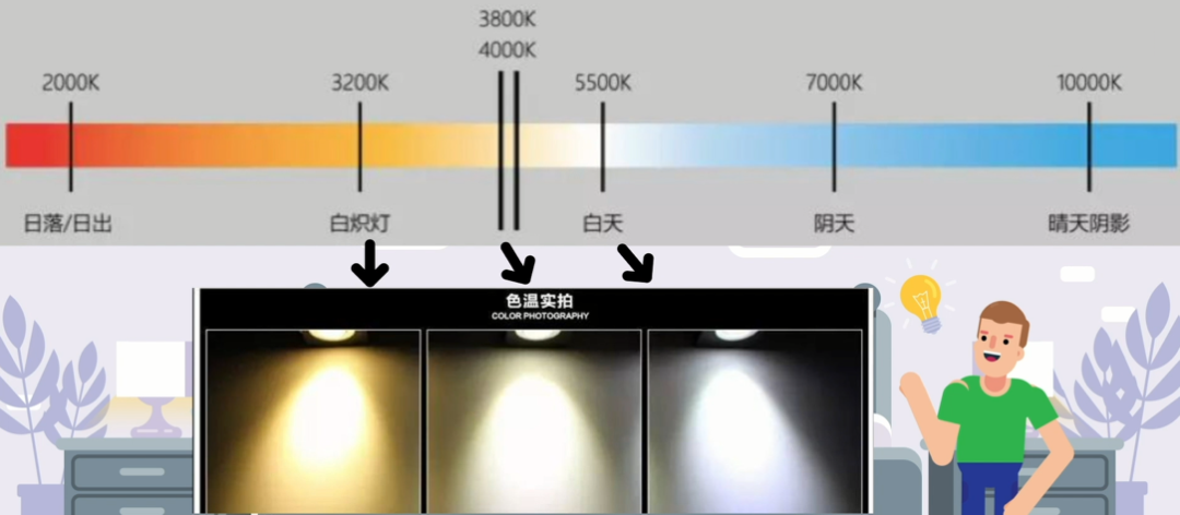 光源色固有色和环境色图片