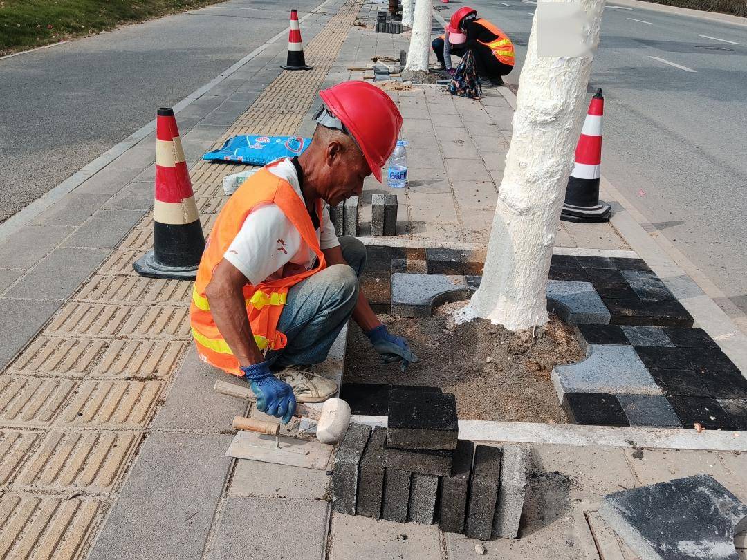 改造树池,提升人行道通行环境_道路_海沧_公路