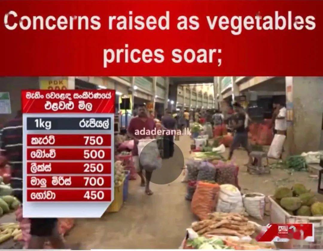 斯里兰卡｜蔬菜价格猛涨，部长称：一季度末，生活成本负担将大幅降低75%_搜狐网