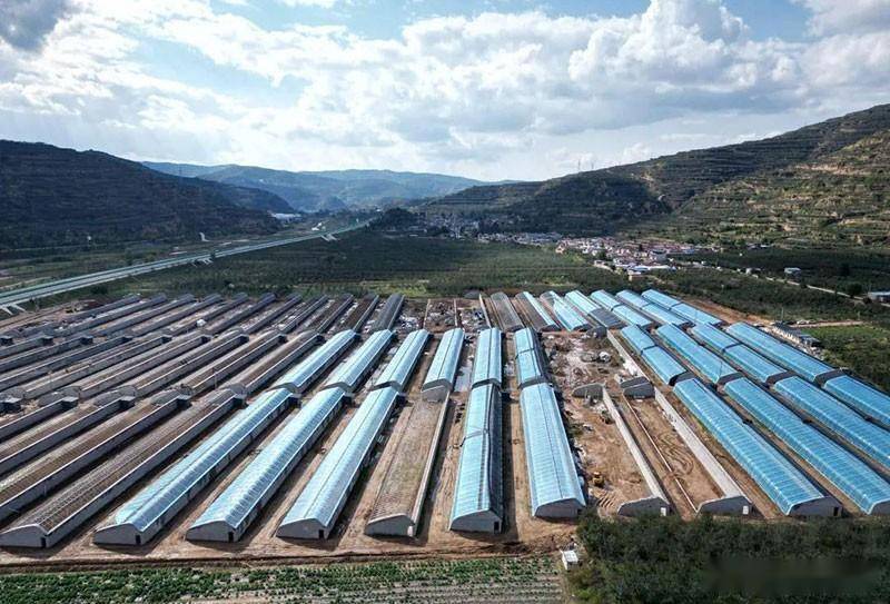 实干奋进创佳绩 锦绣果乡绽华彩 ——庄浪县万泉镇特色产业助推乡村