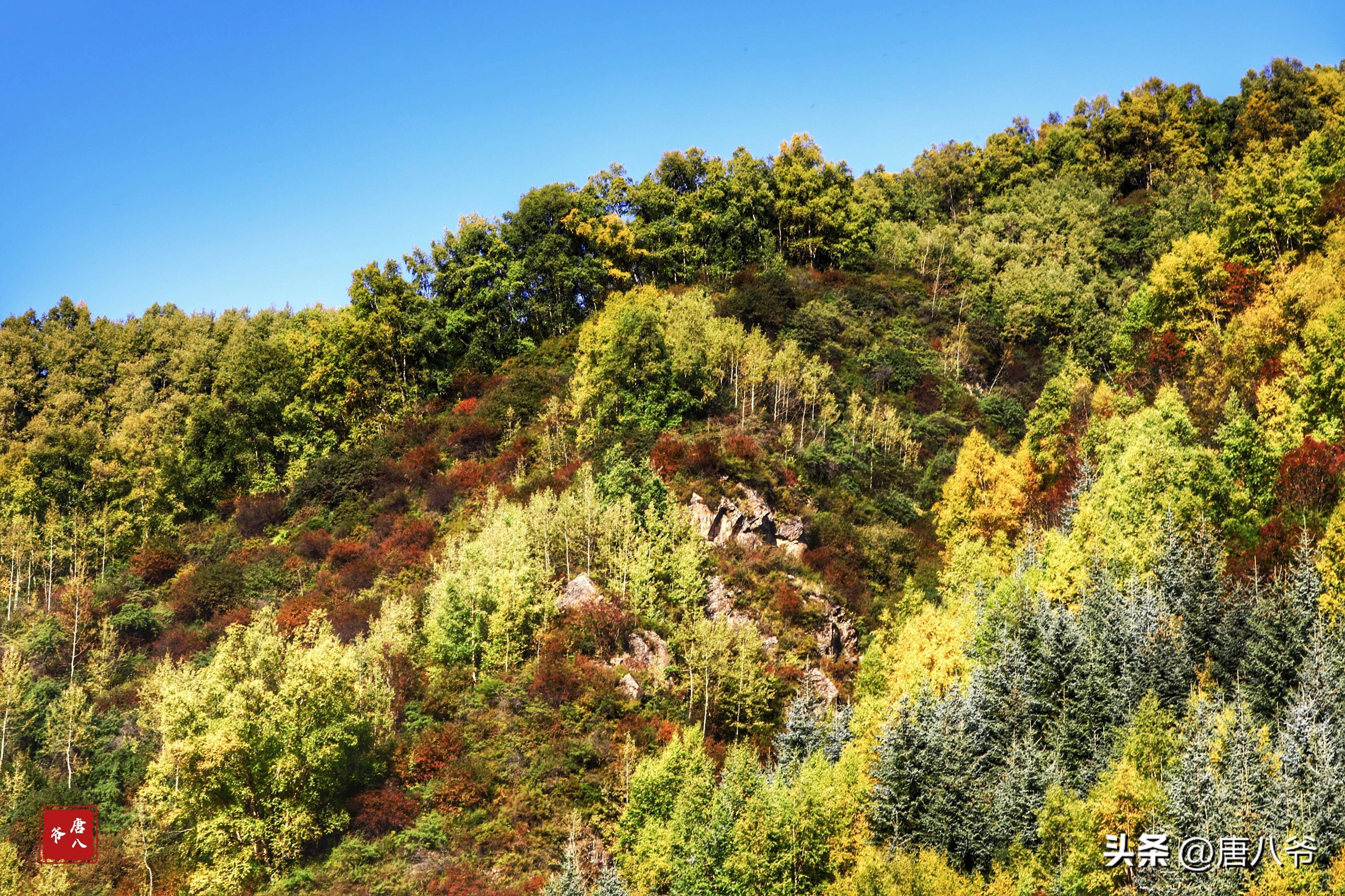 天高云淡,山林如画,大自然的美景总能令人心驰神往