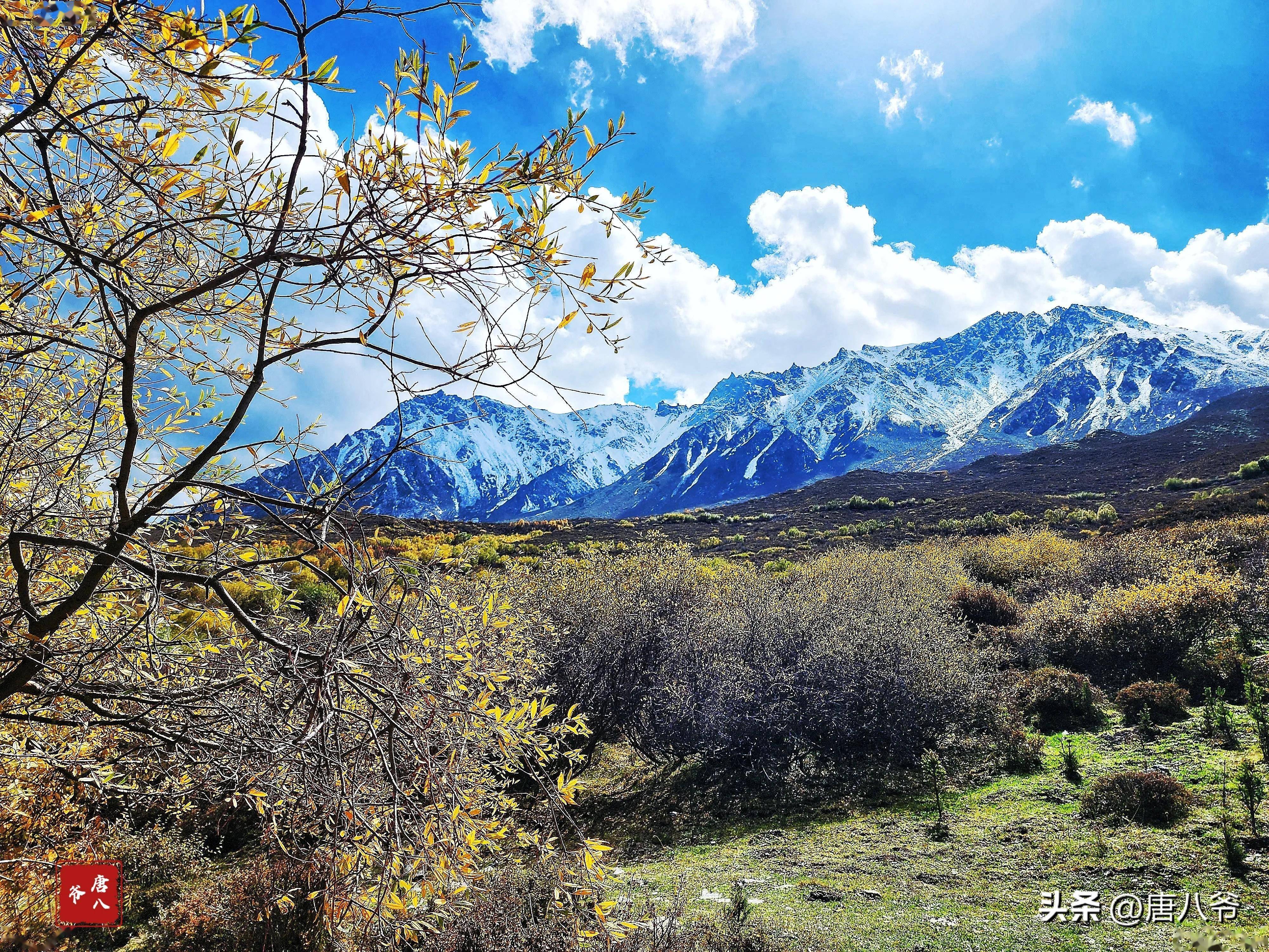 高山峻岭尽眼前,高原的空气中飘荡着草原的香气_风景_生机_大自然