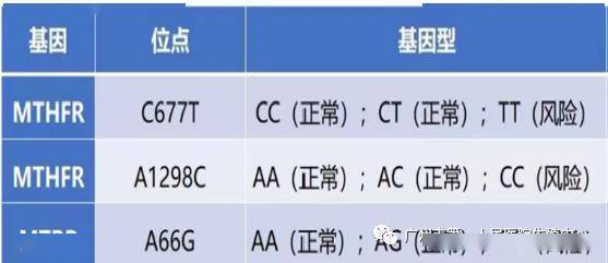 叶酸检查报告单图片图片