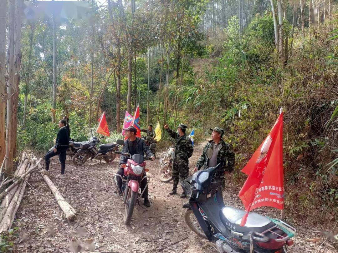 【文明新风】景谷永平:"小村规"约出森林防火共建共治新格局