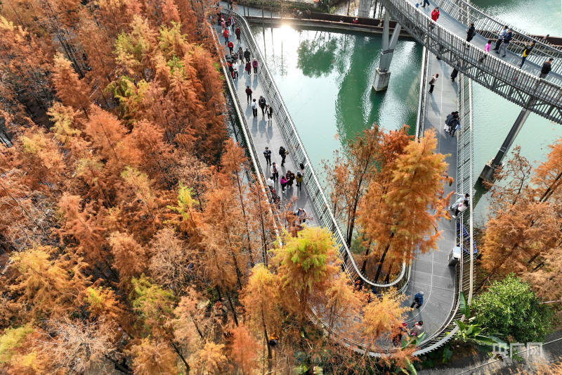 不断提升改造景区景点(央广网发 谢贵明 摄)市民游客走在"福道"上
