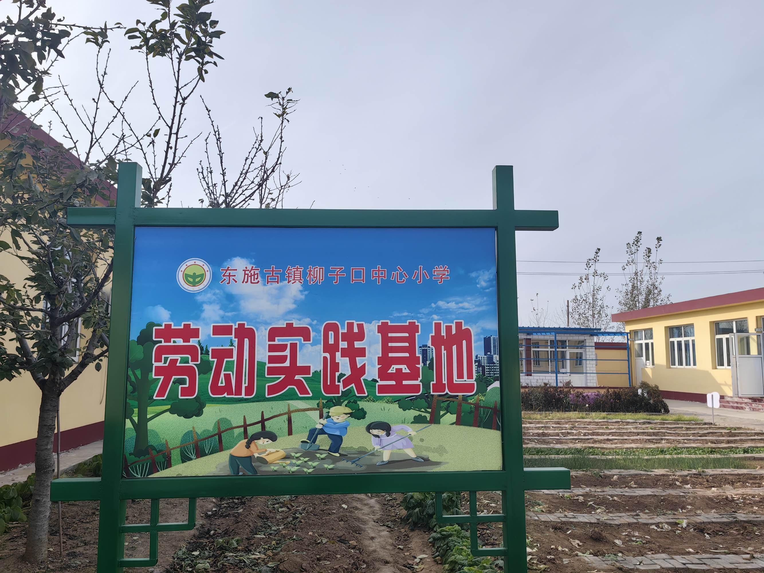 津彩绽放"活动参赛作品:小小种植园,收获满心"甜"_劳动_实践_教育