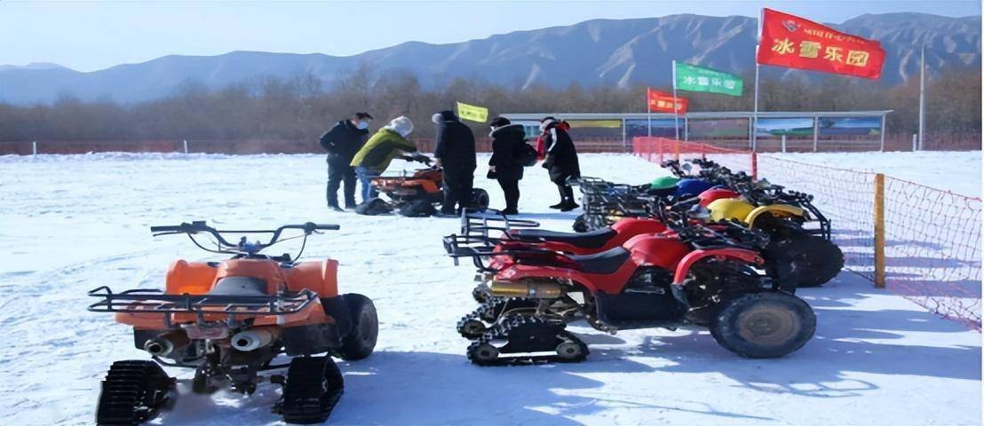 雪地兔淘氣城堡,雪地熊貓蹦蹦床,雪地自行車,雪地黃包車,雪橇,滑雪車