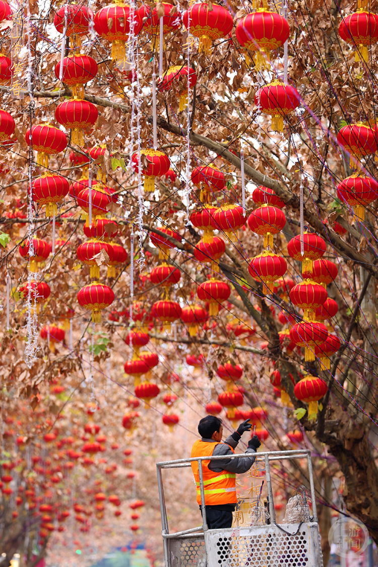 "冬趣"(237) | 上游主题摄影征稿作品展——杨敏作品_灯笼_新闻_图片