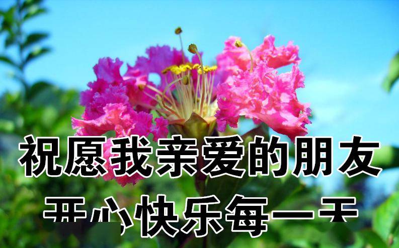 今日最新早上好問候祝福語,願你快樂!_生活_東西_人生