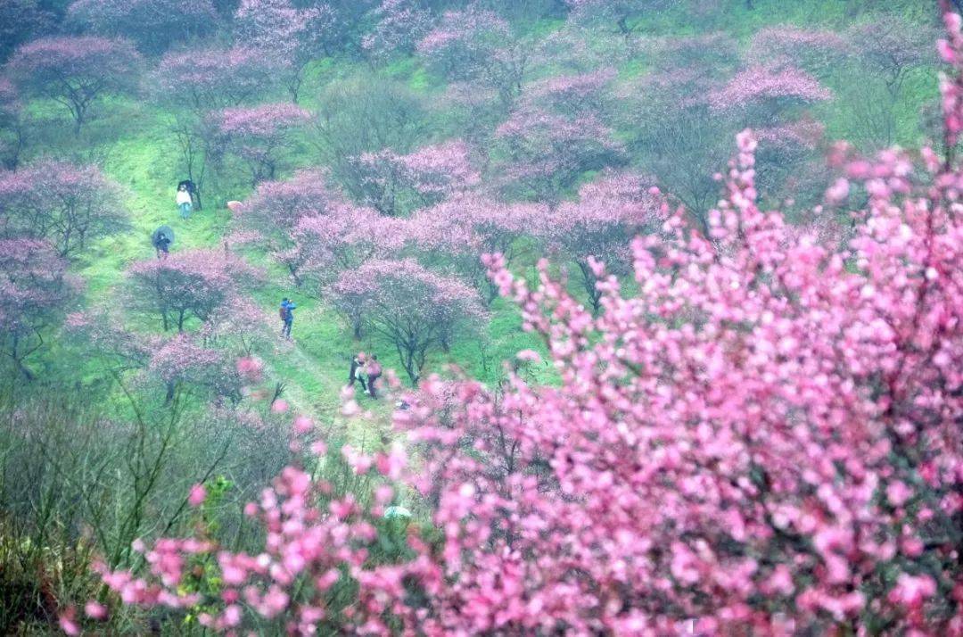 彌勒_線路_文化