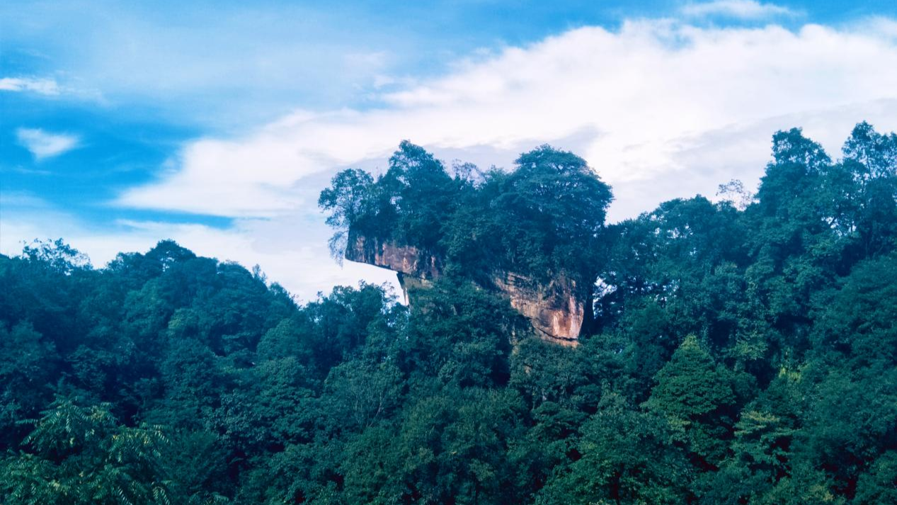 成都邛崍天台山:熒光點亮生態富_旅遊_景區_保護