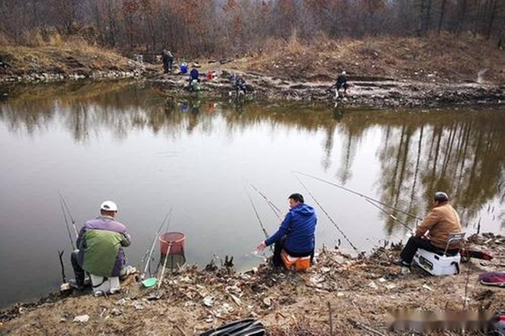 寒冬野釣鯽魚,5項基本原則要牢記,天冷正好釣大鯽_魚窩_水面_階段