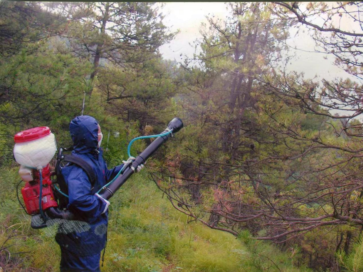 河南盧氏護林員蘇曉江:高山仰止林青青_管護區_防治_草房