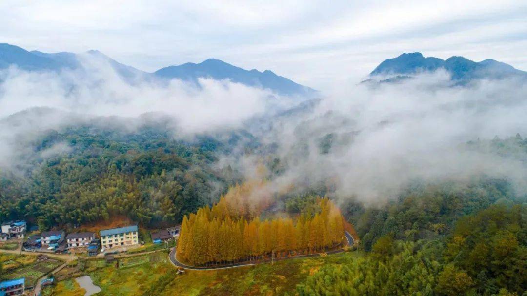 龙栖山自然风景区简介图片