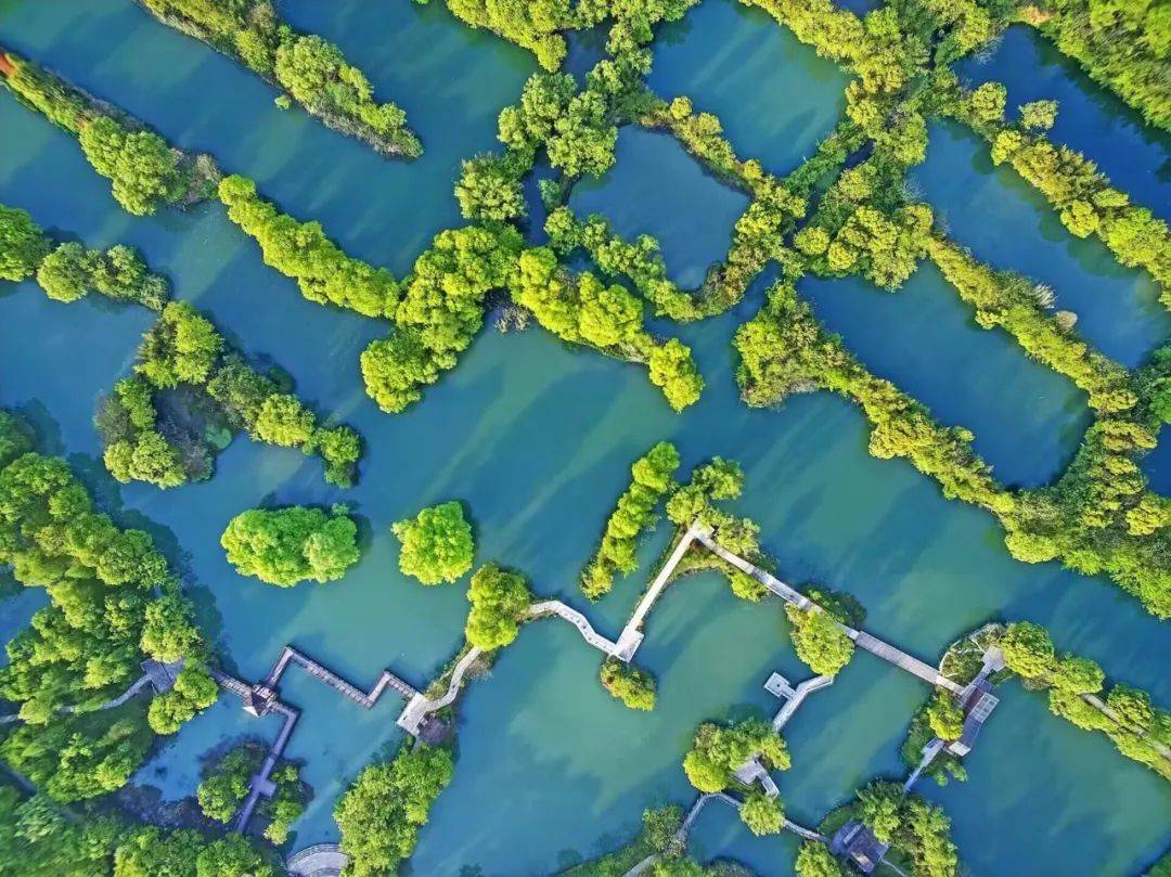 杭州西溪湿地绿堤图片