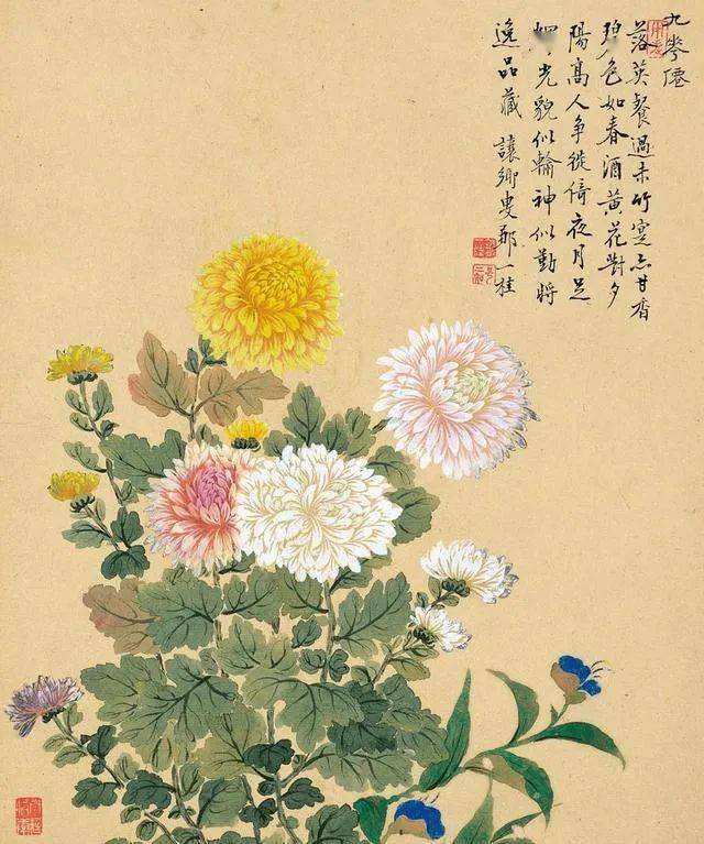 邹一桂《小山画谱》：画花卉要懂八法、有四知！_搜狐网