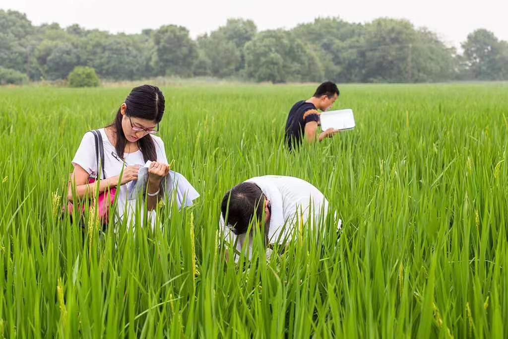 减排和绿色低碳行动的实施,带动了农户科学种粮和耕地保护意识的提升