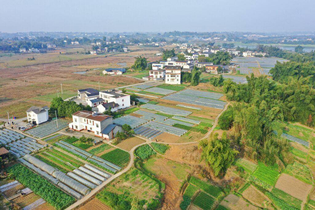 富顺长滩镇:打好农文旅融合组合拳 绘就古盐道"黄金"码头新画卷_蔬菜